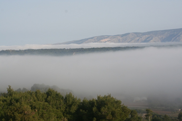Fog on the Plain